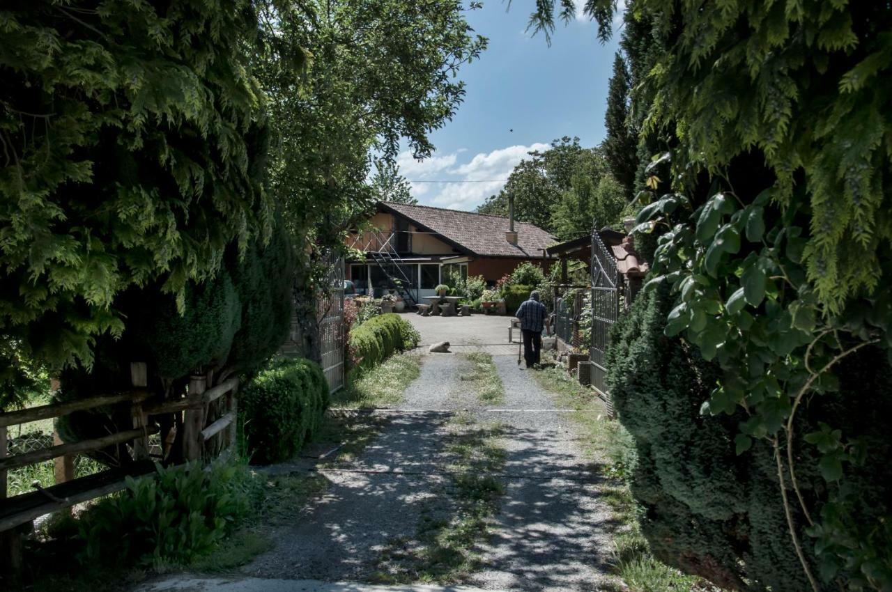 La Locanda Degli Elfiヴィッジャネッロ エクステリア 写真